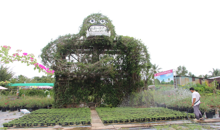 Con King Kong “khổng lồ” bằng cây xanh phục vụ khách tham quan chụp ảnh