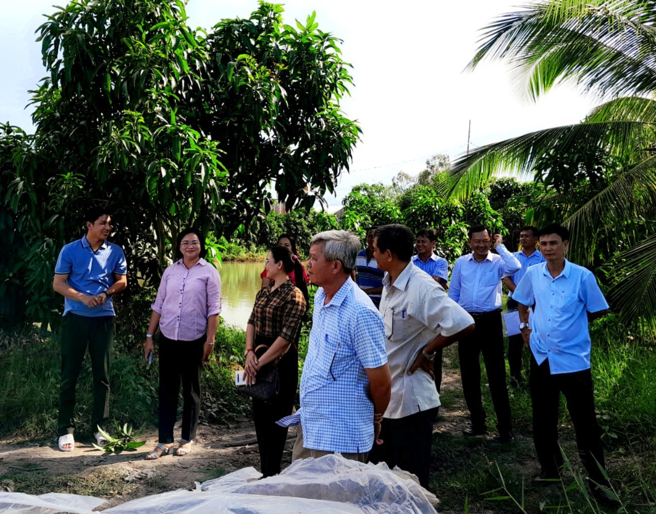 Khảo sát các điểm du lịch cộng đồng tại huyện Thanh Bình