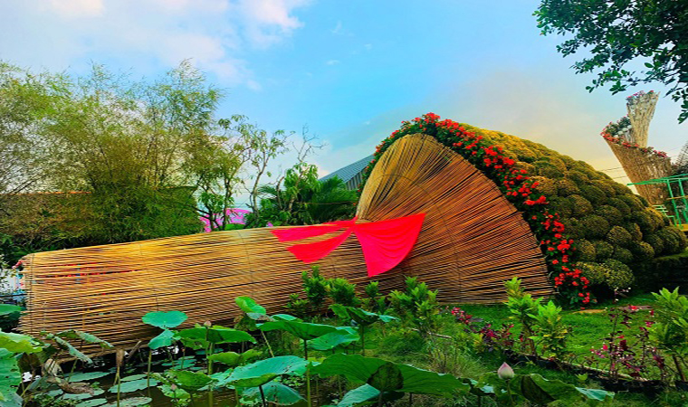 Bó hoa Cúc mâm xôi “khổng lồ” ở Làng hoa Sa Đéc thu hút sự hiếu kỳ của nhiều du khách