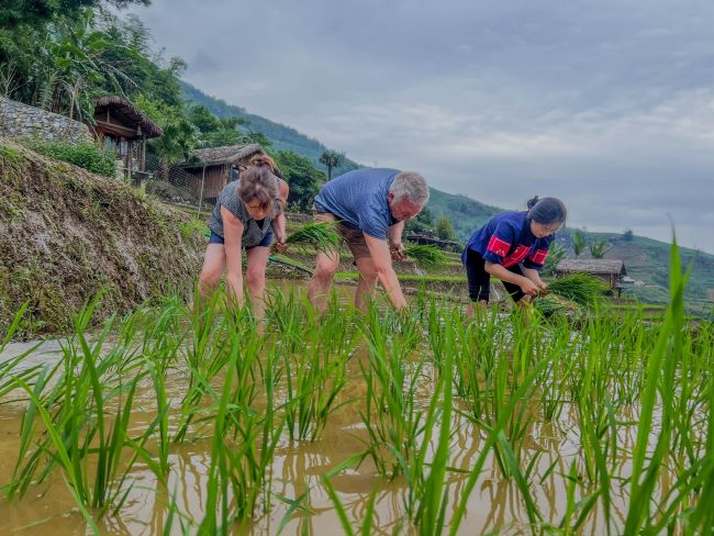 du lich nong nghiep lao cai 3 578314849