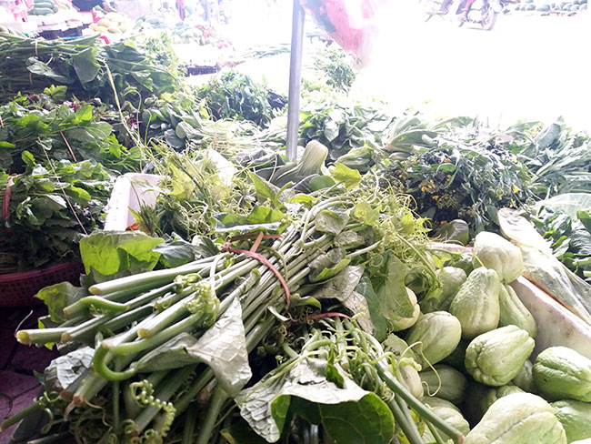 Các loại rau nổi tiếng ở Sa Pa