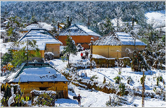 du lịch Lào Cai vào mùa đông bạn may mắn bạn sẽ gặp tuyết