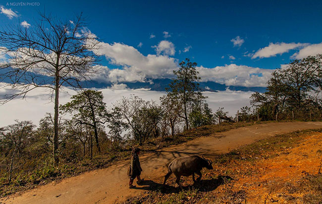 mùa săn mây ở Lào Cai