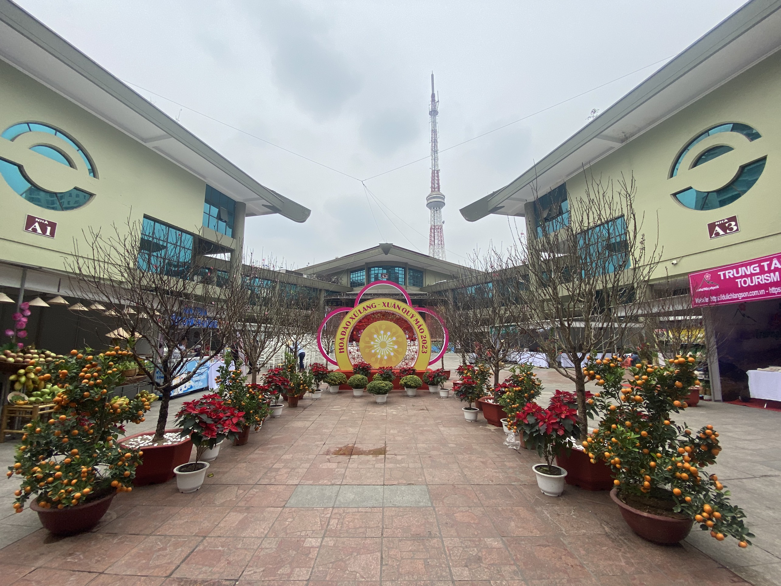 Giới thiệu ẩm thực và sản vật Lạng Sơn tại “Hội Xuân Quý Mão - 2023” Hà Nội