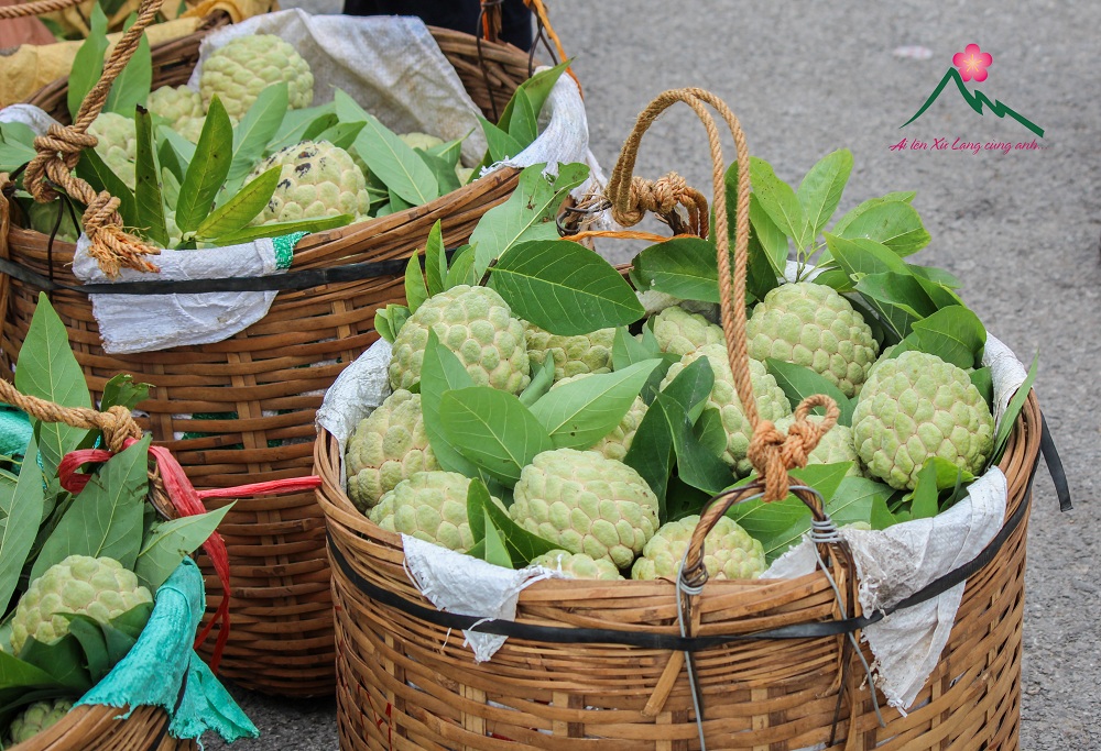 Chợ Na tấp nập vào mùa - “Đặc sản’ du lịch nông nghiệp huyện Chi Lăng 